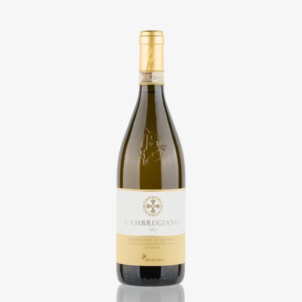 'Cambrugiano' Verdicchio di Matelica Riserva Docg image preview