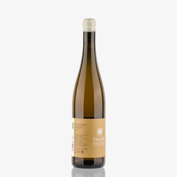 'Drago Bianco' Garganega Veronese Igt image preview