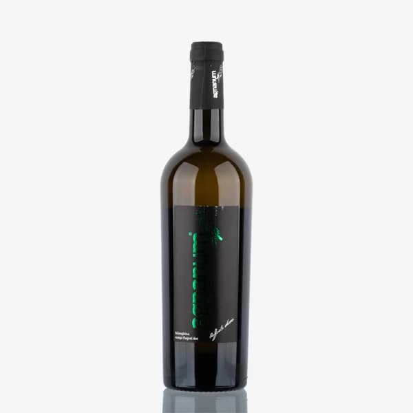 'Vigna del Pino' Falanghina Campi Flegrei Doc image preview