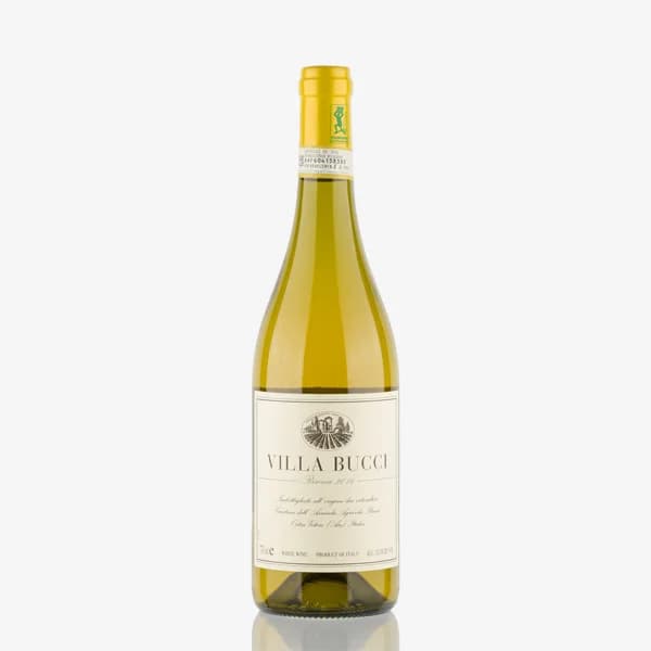 'Villa Bucci' Verdicchio dei Castelli di Jesi Classico Riserva Docg image preview