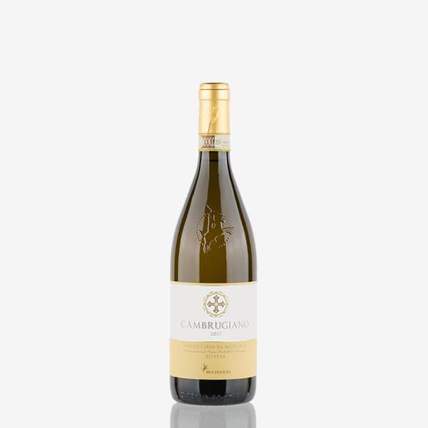 'Cambrugiano' Verdicchio di Matelica Riserva Docg image preview