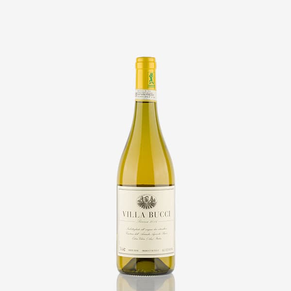 'Villa Bucci' Verdicchio dei Castelli di Jesi Classico Riserva Docg image preview