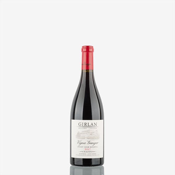 'Vigna Ganger' Pinot Noir Alto Adige Riserva Doc image preview